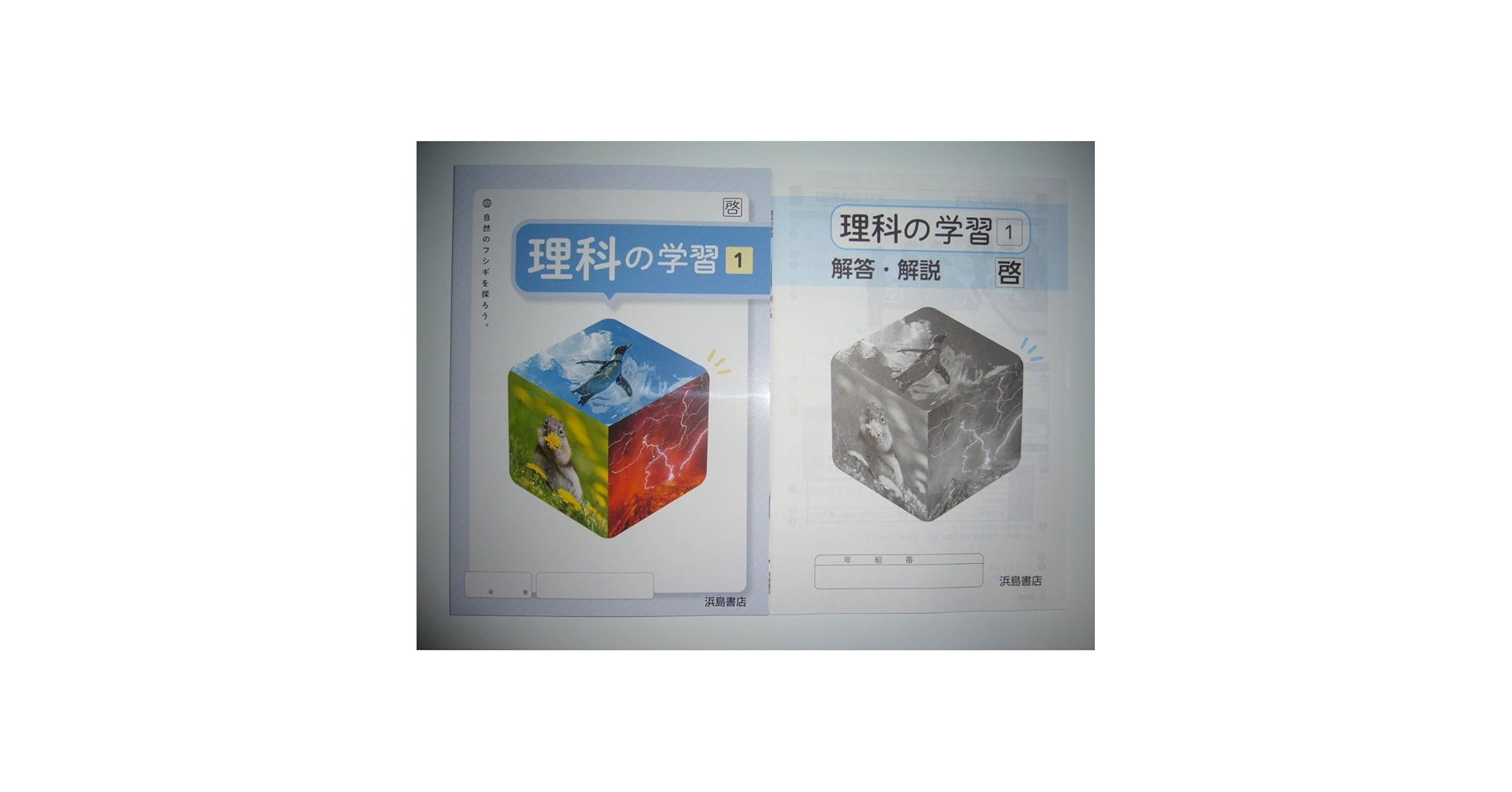 新学習指導要領対応　理科の学習　3　東　解答・解説　理科の学習ノート Amazon.co.jp: 新学習指導要領対応 よくわかる理科の学習 2 東